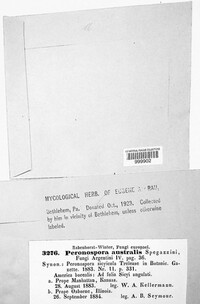 Image Associated With the Occurence